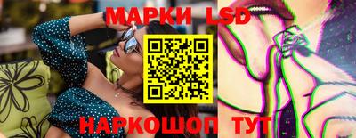 гидропоника Владимир