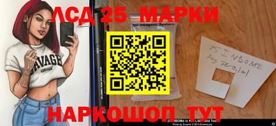 гидропоника Владимир