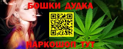 гидропоника Владимир