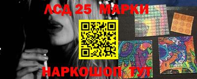 гидропоника Владимир