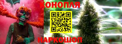 гидропоника Владимир