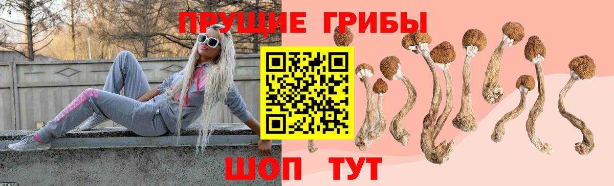 Галлюциногенные грибы прущие грибы  Вход с VPN  Асино 
